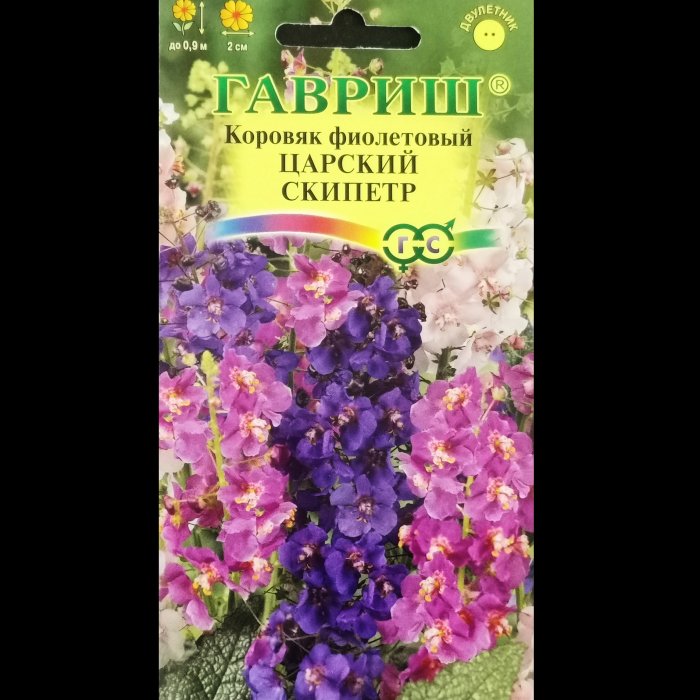 Коровяк "Фиолетовый царский скипетр", 0,05 гр. Гавриш.