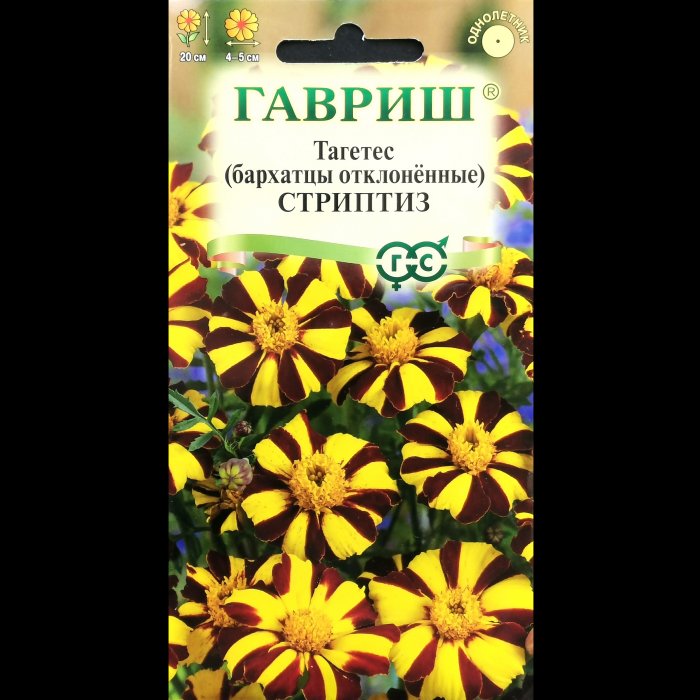 Бархатцы (тагетес) "Стриптиз", отклоненные, 0,3 гр. Гавриш.