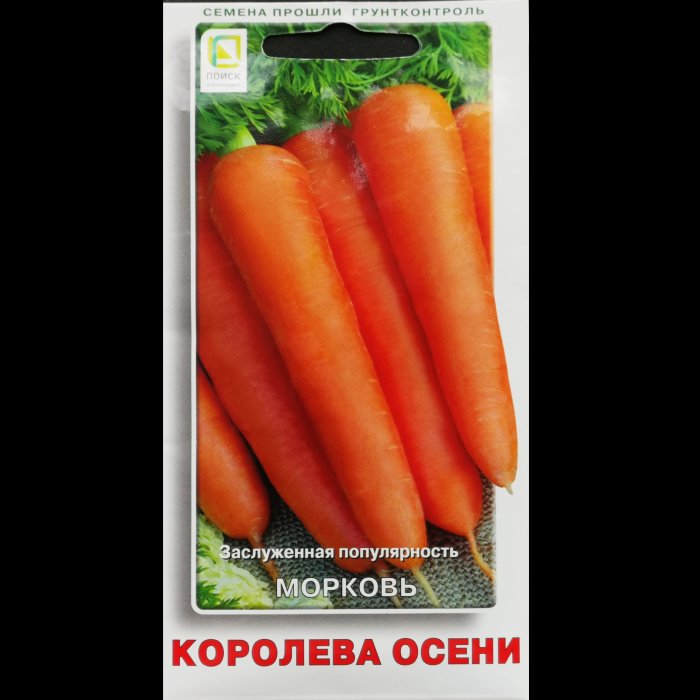 Морковь "Королева осени", 2 гр. Поиск.