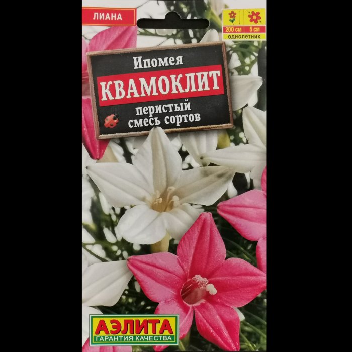 Ипомея "Квамоклит", смесь окрасок, 0,5 гр. Аэлита.