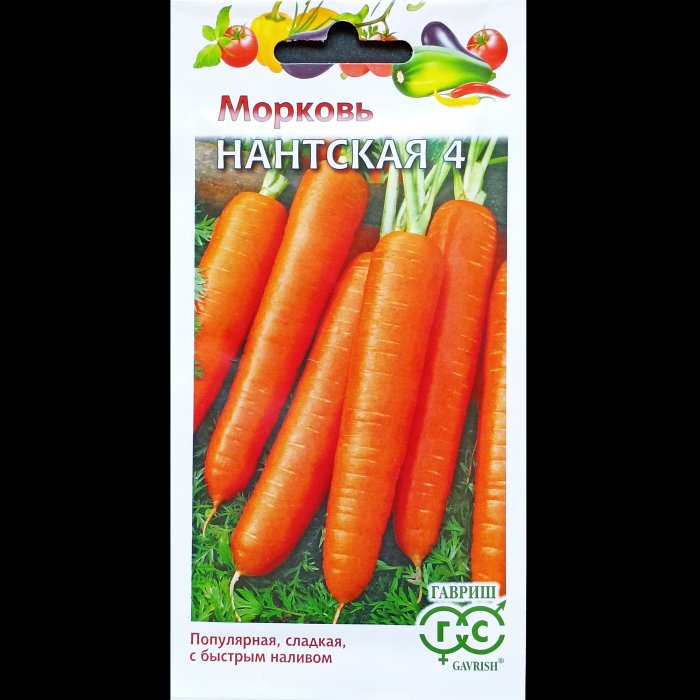 Морковь "Нантская 4", 2 гр. Гавриш.