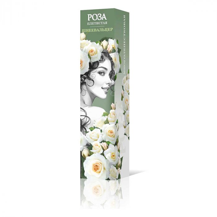 Роза плетистая "Шнеевальцер". Садовита.
