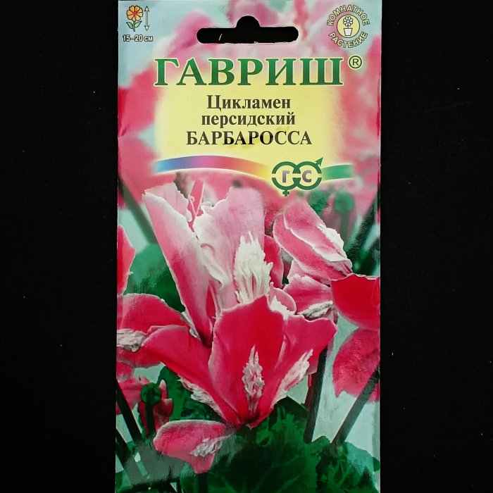 Цикламен "Барбаросса", персидский, 3 шт. Гавриш.