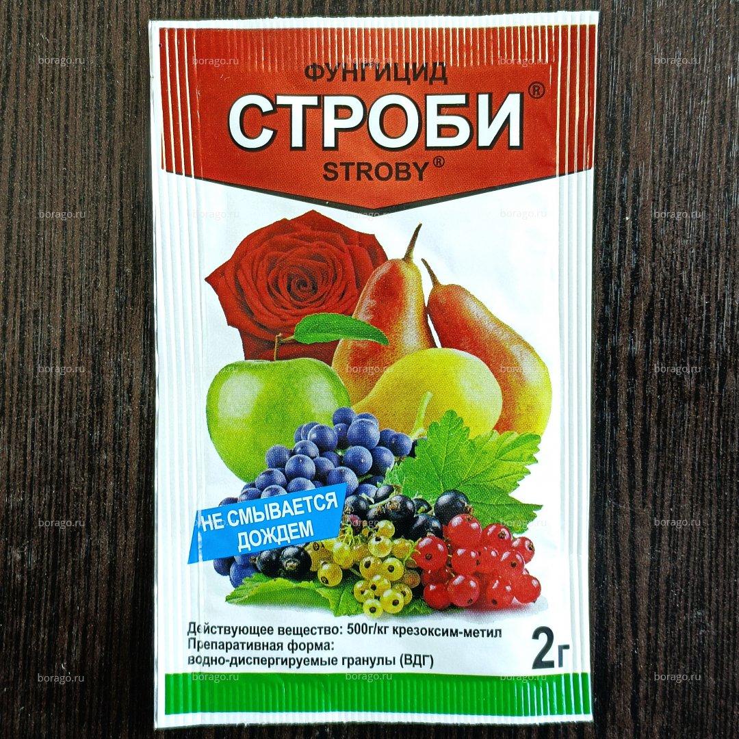 Препарат строби. Строби 2гр. Строби 2 г. Строби фунгицид. Строби паутинка.