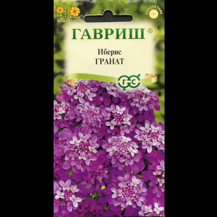 Иберис "Гранат", зонтичный, 0,1 гр. Гавриш.